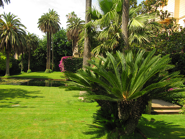 Bosc Bertran (66)