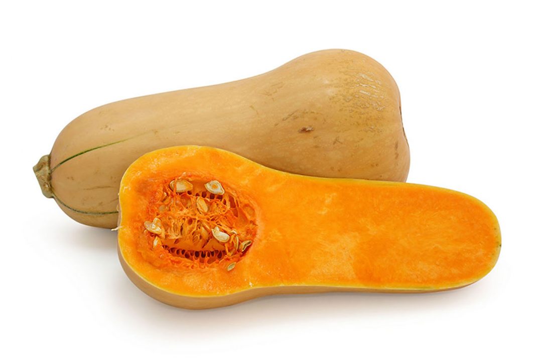 butternut-calabaza