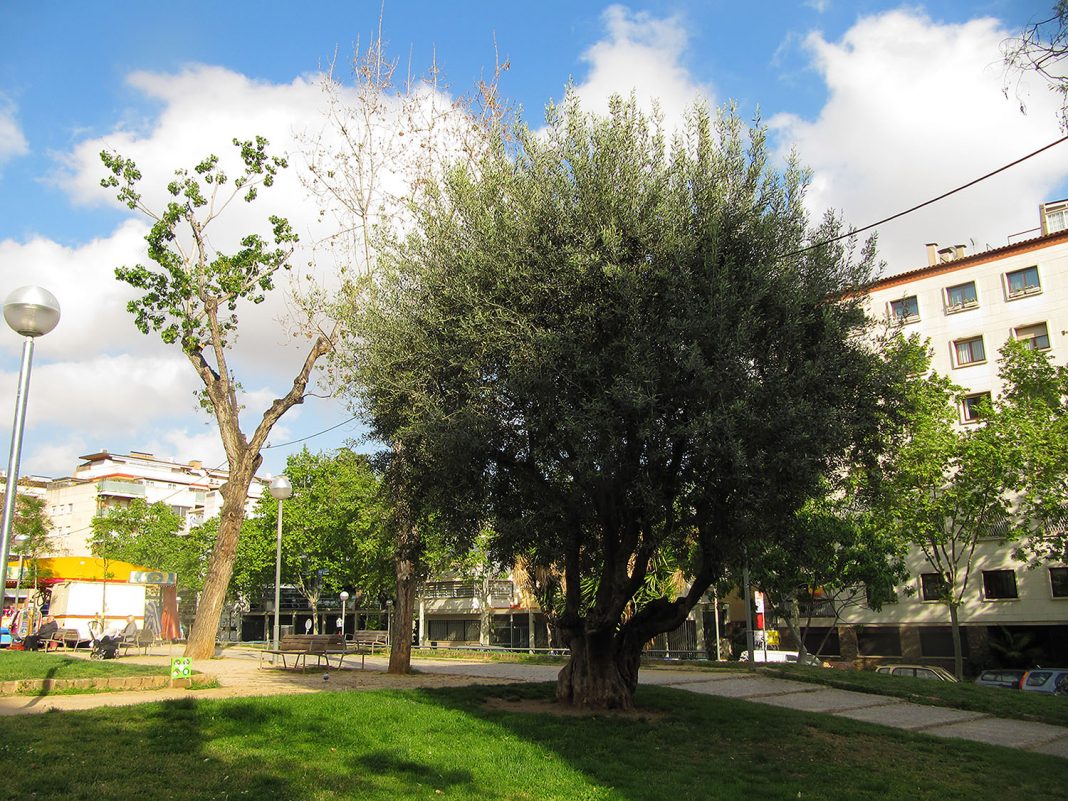 jardins_IMG_4319