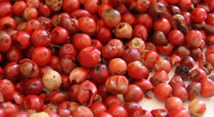 pebre