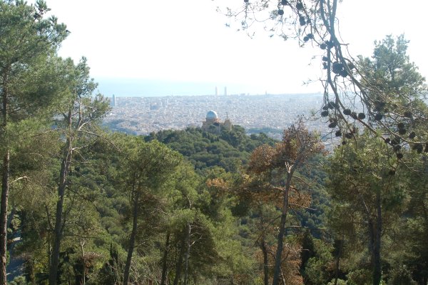 Collserola