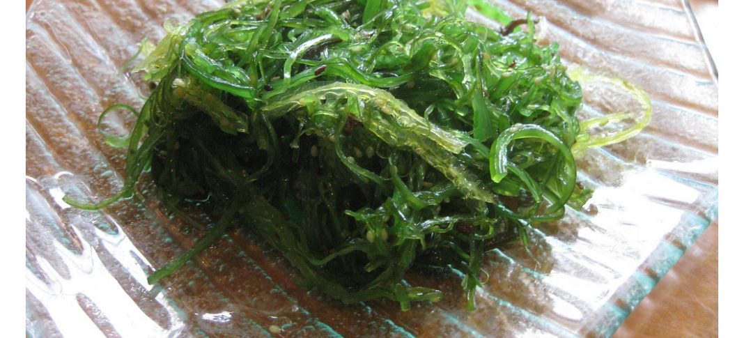 Alga espirulina