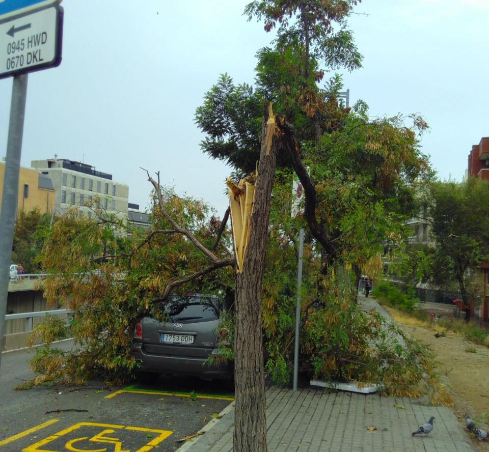 Resultats pluges Sarrià